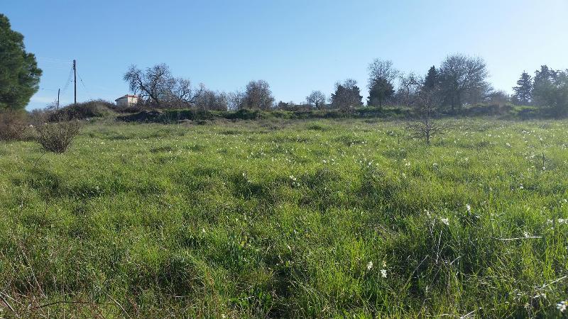 Akamas Health Farm & Spa Dhrousha Εξωτερικό φωτογραφία